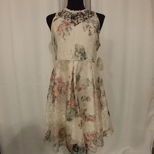 Lace Floral dress